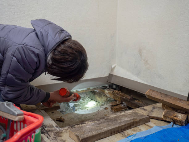 Best Forensic Mold Investigation  in Chaparral, NM