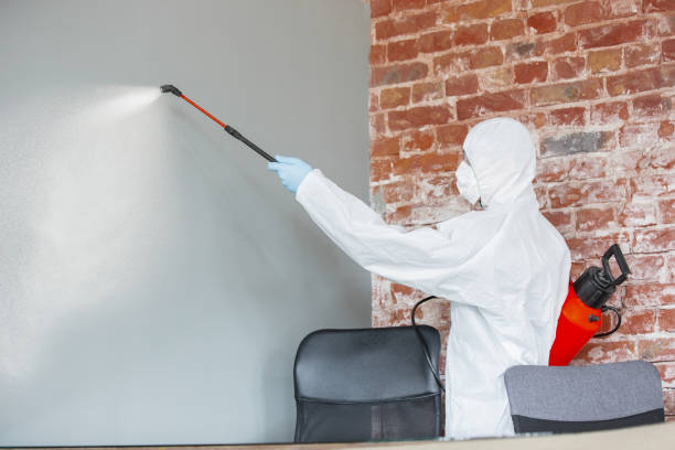 Best Real Estate Mold Inspection  in Chaparral, NM