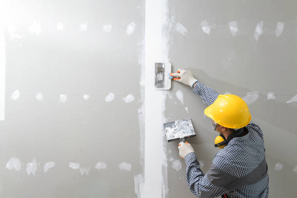 Best Post-Remediation Verification Testing  in Chaparral, NM