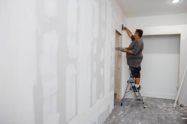 Best Mold Damage Restoration  in Chaparral, NM