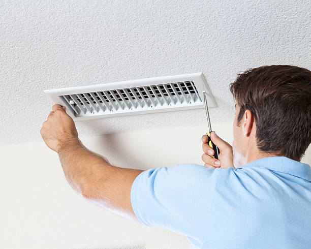 Best Mold Prevention Services  in Chaparral, NM