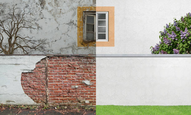 Best Environmental Consulting for Mold Prevention  in Chaparral, NM