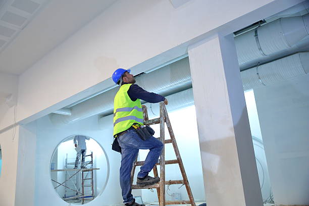 Best Mold Documentation for Insurance Claims  in Chaparral, NM