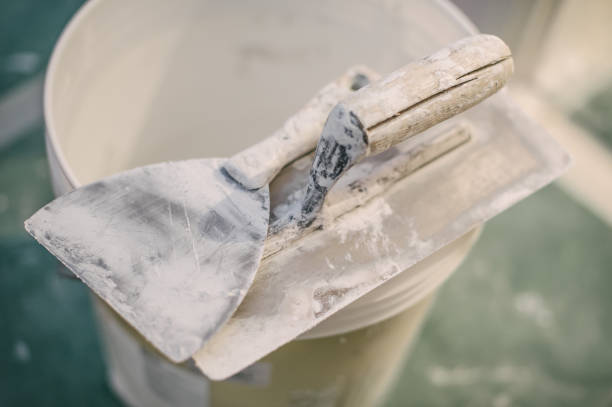 Reliable Chaparral, NM Mold Removal Solutions