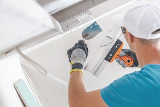 Best Black Mold Removal  in Chaparral, NM